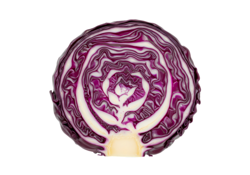 Vibrant Red Cabbage Cross Section - Powered by Adobe