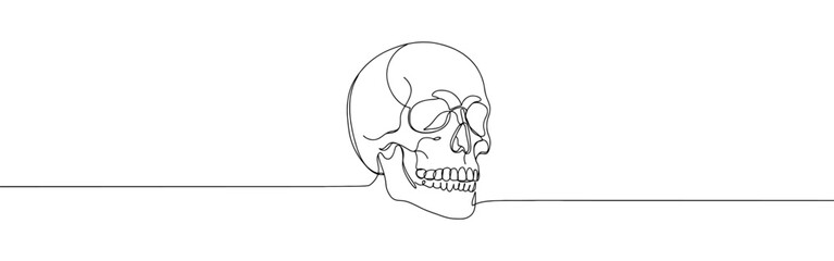 Skull continuous one line drawing. Death symbol. Vector illustration.