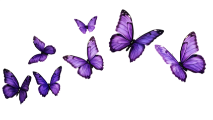 Set of  Purple butterflies flying in the air  isolated on white background PNG,AI GENERATED
