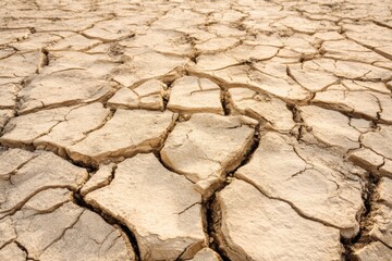 Cracked dry earth reveals intricate patterns across barren desert landscape at midday sun
