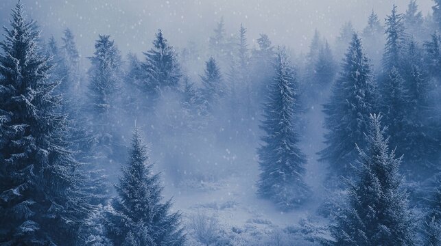 Seamless coniferous winter forest background with pine, spruce, and Christmas trees in fog - Powered by Adobe