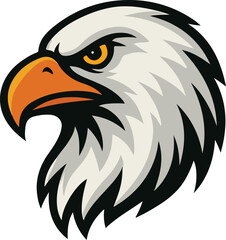 American bald eagle head vector & illustration