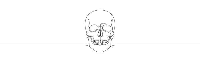 Skull continuous one line drawing. Death symbol. Vector illustration.