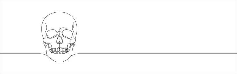 Skull continuous one line drawing. Death symbol. Vector illustration.