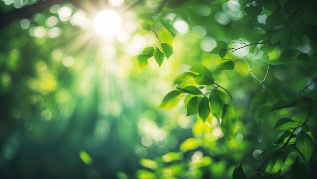 Blurred rays of sunlight shining through trees in a summer garden with leaves, capturing the natural sunlight concept and nature background.