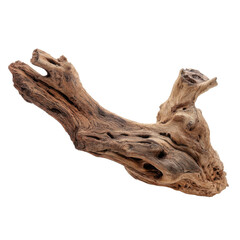 Dynamic driftwood piece isolated on transparent or white background. A high resolution PNG image of Dynamic driftwood piece.