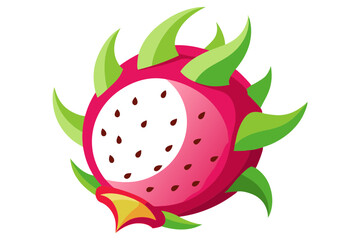 Dragonfruit Vector Fruit Drawing