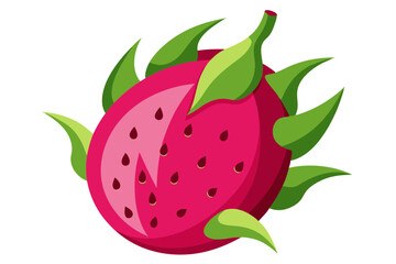 Tropical Dragonfruit Vector Design