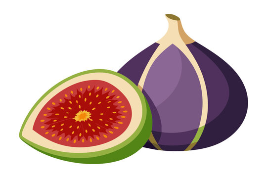 purple fig fruit, sliced, green, red clip art preview