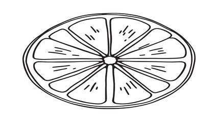 Grapefruit line art botanical illustration of juicy citrus fruit drawing