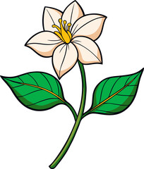 White Jasmine Flower with Yellow Center and Green Leaf