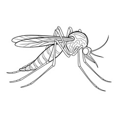 Mosquito line art coloring page 