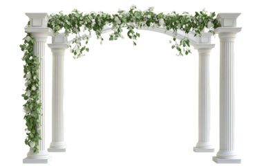 White archway with green vines and white flowers on transparent or white background