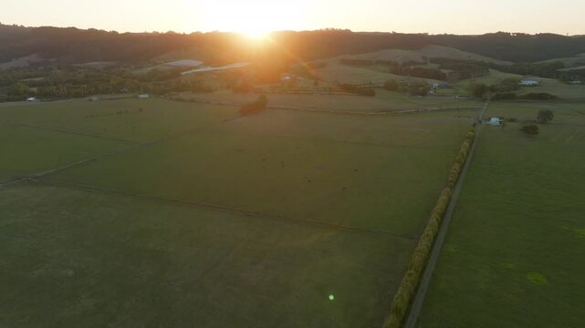 Aerial view of lush farmland and natural vegetation at sunrise in New Zealand. The sun rises over the landscape. CLEVEDON, NZ
