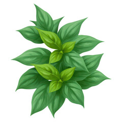 Lush Green Leaves with Vibrant Colors for Nature and Botanical Themes, isolated on transparent background.
