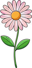 Blush Pink Daisy Flower with Two Green Leaves