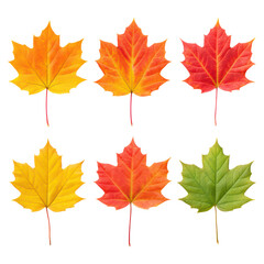 Assorted Colorful Fall Leaves Isolated on White Background, isolated on transparent background.