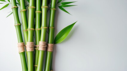 Fototapeta premium Decorative bamboo plant pieces with green leaves isolated on white background