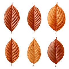 Obraz premium Detailed Illustration of Brown Leaves on a Black Background, isolated on transparent background.