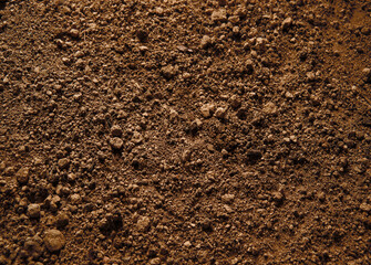 Natural background. Light soil close up
