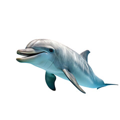 Fototapeta premium dolphin Fish in transparent background.A Bottlenose Dolphin Swimming in the Crystal Clear Ocean Waters
