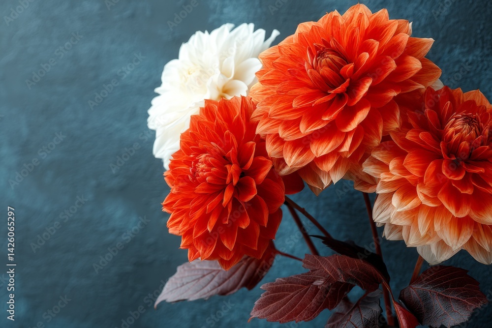 Poster bright orange and white dahlias on a textured blue background create a vibrant floral display in a s