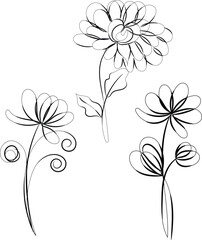 Elegant Black Line Art Floral Designs Three Flowers