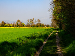 Obraz premium Marne, historic village near Brembate, Bergamo province, Italy
