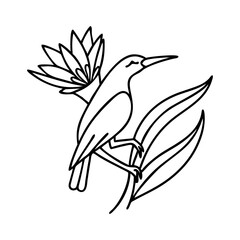 bird of paradise pose icon, bird of paradise pose line art - simple line art of bird of paradise pose, perfect for bird of paradise pose logos and icons