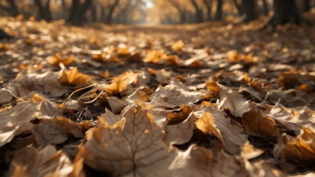 Dying plant life. A rustling blanket of shed leaves. Declining vegetation. Arid leaf texture. Nature scenery.
