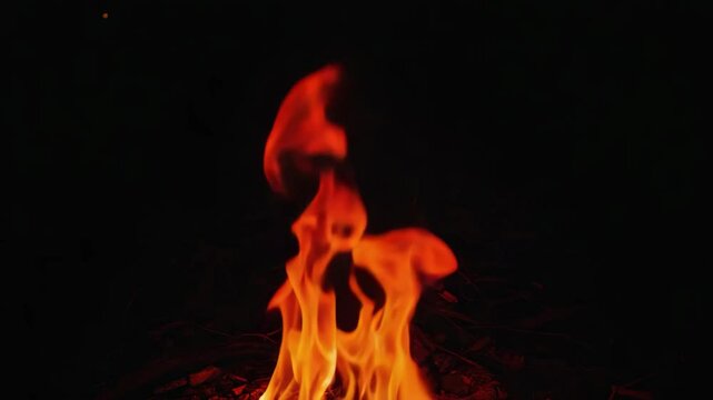 fire burn camp cook background video motion