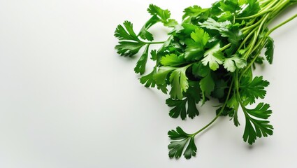 Obraz premium Isolated fresh parsley on white background