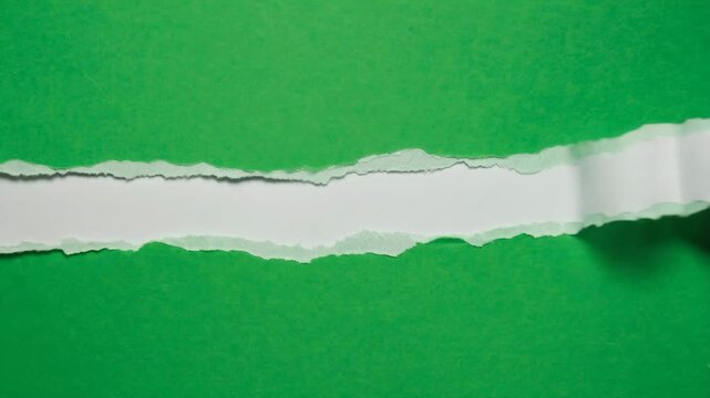 paper green background torn stripe message copy space video motion