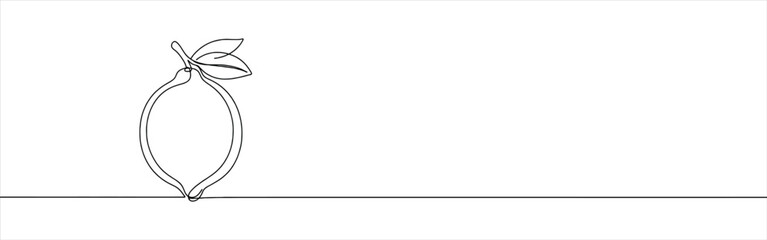 Orange, lemon, lime, grapefruit continuous one line drawing. Citrous symbol. Vector illustration.Orange, lemon, lime continuous one line drawing. Citrous symbol. Vector illustration.