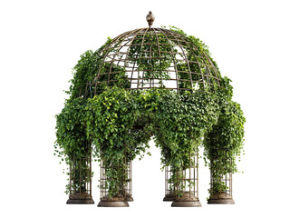 Fototapeta premium Spherical Pergola with Vines