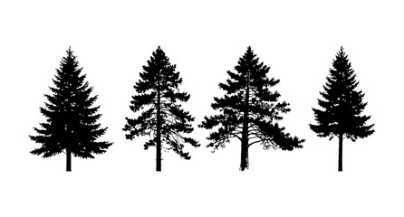 Obraz premium Silhouette of pine trees collection for minimalist forest design nature artwork and decoration ideas