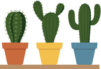 Three green potted cactus plants in colorful terracotta yellow and blue pots vector illustration 