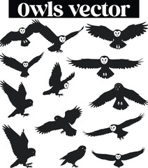 Obraz premium Owl Nocturnal Bird Illustrations Silhouettes