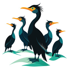 Obraz premium Cormorant Birds set on white background