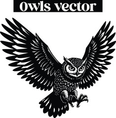 Obraz premium Owl Nocturnal Bird Illustrations Silhouettes