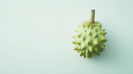 Light green spiky fruit, top view,  isolated on a plain white background.