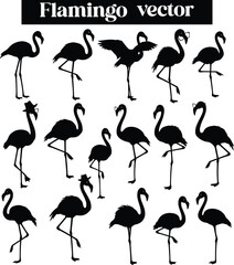 Fototapeta premium Flamingo Elegant Bird Illustrations Silhouettes