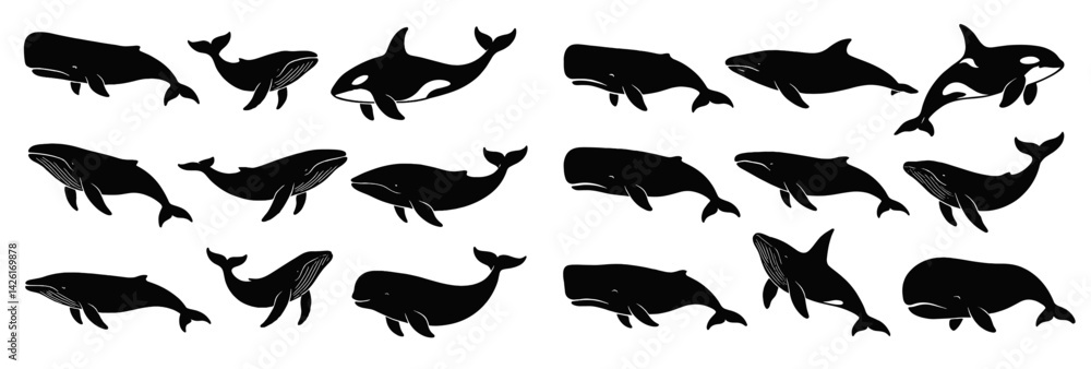 Poster Set of web icons depicting various whale silhouettes in line style for digital design projects and websites