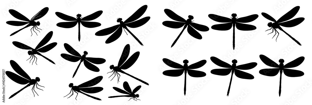 Poster Set of line style web icons featuring various dragonflies and their detailed silhouettes arranged in a visually engaging pattern