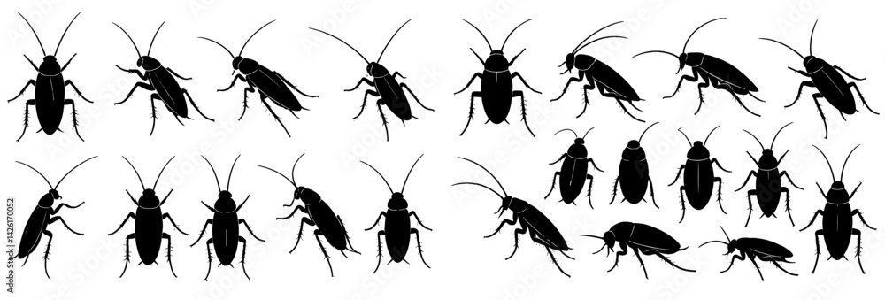 Poster Web icons featuring a set of line style cockroach designs perfect for representing pest control and sanitation themes