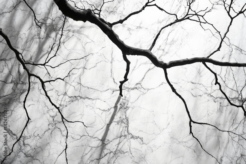 Fototapete intricate patterns of tree branches against a light backdrop observed in a serene park during early 