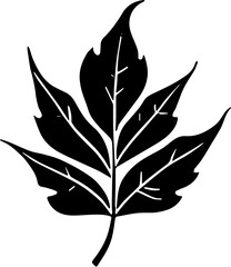 black silhouette of a leaf
