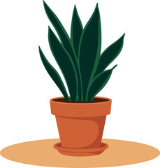 Obraz premium Snake plant in terracotta pot with dark green leaves vector illustration 