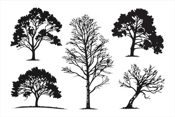 Obraz premium set Tree Silhouette Graphics Collection 