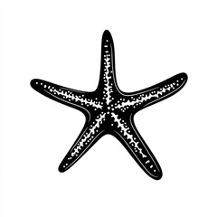 Fototapeta premium Black starfish illustration, ocean, sea life, white background, design element